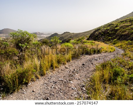 Rocky landscape of Tenerife. Canary Islands. Spain