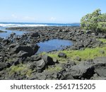 A Rocky Lava Tide Pool in Hawaii on the Kona Coast