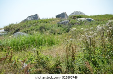 Rocky Meadow On The Canadian East Coast 