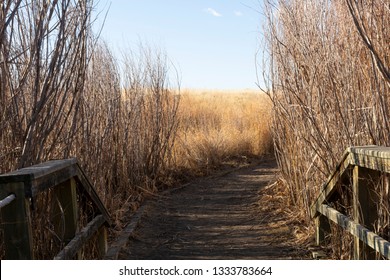 Rocky Mountain Arsenal National Wildlife Refuge Path