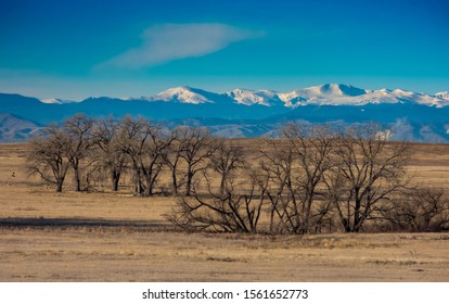 Rocky Mountain Arsenal National Wildlife Refuge