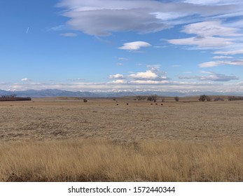 Rocky Mountain Arsenal National Wildlife Refuge