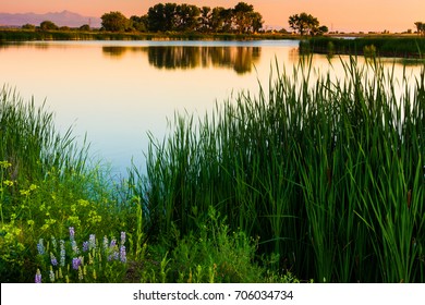 Rocky Mountain Arsenal National Wildlife Refuge In Denver Colorado Shows Its Gorgeous Landscape Along Lake Ladora With Longs Peak In The Background