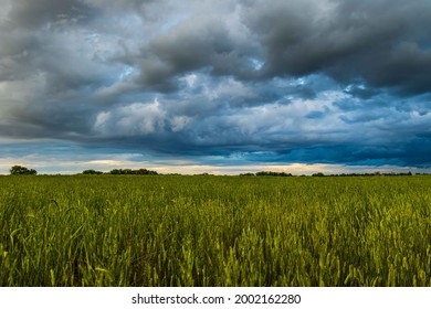 Rocky Mountain Arsenal Stormy Clouds And Green Grass