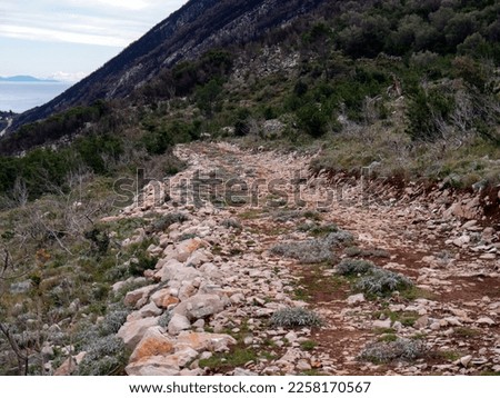 Rocky mountain downhill road with heavy big stones and green plants