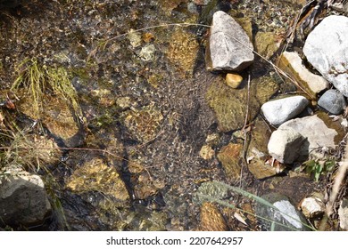 Rocky Mountain River Flowing Peacefully