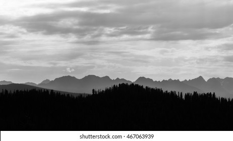 Rocky Mountain National Park Treeline Silhouette