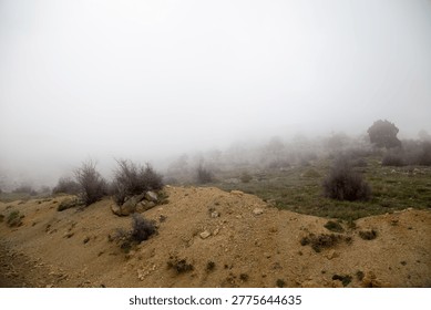 Rocky mountain slope with sparse shrubs and spring greenery completely dissolves into dense fog. Minimalist highland landscape, Taurus mountains, Turkey.