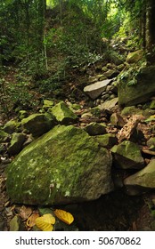 Rocky Mountain Trail