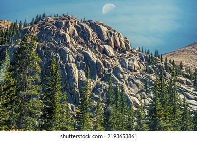 Rocky mountain at treeline with pine trees at Pikes Peak USA with daytime moon in blue  sky