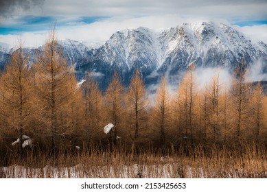 Rocky Mountains, Carpathians, Winter, Bucegi, Romania