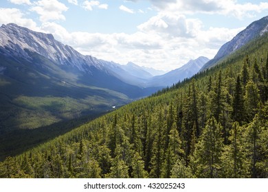 Rocky Mountains Forests Landscape. Banff National Park. Alberta, Canada