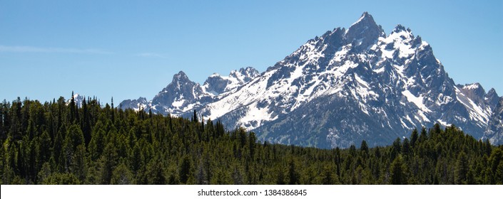 The Rocky Mountains In Wyoming With Evergreen Treeline In The Foreground.