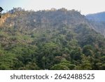 Rocky Mountainside Covered in Lush Green Vegetation: A view of a steep mountainside densely overgrown with green trees and other plants.