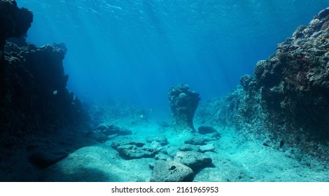 Rocky ocean floor, natural underwater seascape in the Pacific ocean, French Polynesia