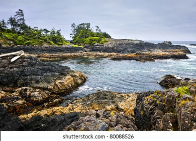 Rocky Ocean Shore In Pacific Rim National Park, Canada