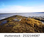 Rocky outcrop alongside the Schelde river in Europe with two dogs exploring.