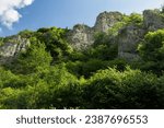 Rocky outcrops among the trees at Dovedale Derbyshire during the summer