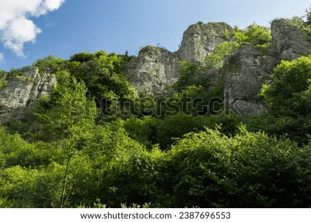 Rocky outcrops among the trees at Dovedale Derbyshire during the summer