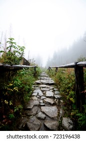 Rocky path