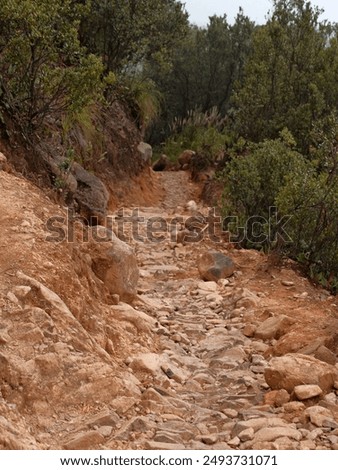 A rocky path with a few trees in the background. The path is narrow and rocky, with a few large rocks scattered along the way. Scene is one of adventure and exploration