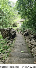 Rocky Path Through The Forest