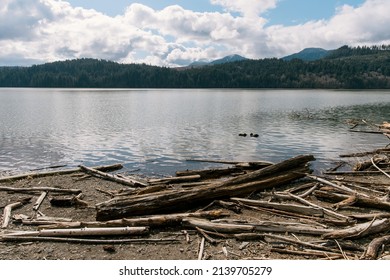 Rocky Point Campground, Alder Lake Near Mount Rainier