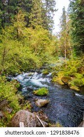 Rocky Rapids North Umpqua River