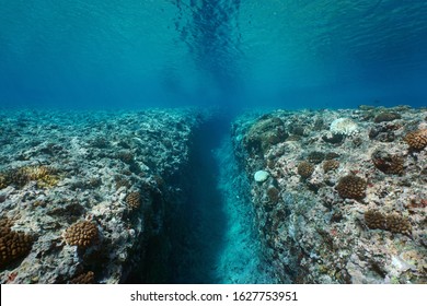 Rocky Reef Eroded By The Swell, A Trench On The Ocean Floor, Underwater Seascape, Pacific Ocean, French Polynesia