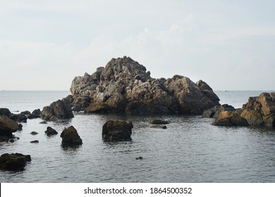 Rocky reefs stone out of the sea. Unique sandstone rocks.