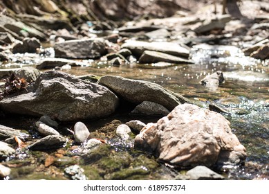 Rocky River  - Powered by Shutterstock
