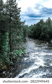A rocky river flows through dense forest under a cloudy sky in a wild and scenic landscape of Northern Norway.