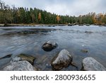 Rocky river rapids flowing through an autumn forest in Kotka, Finland.