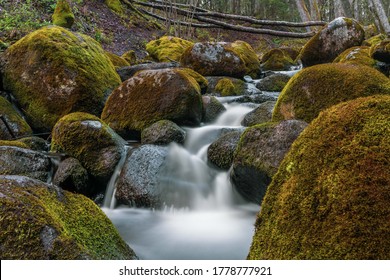 A Rocky River In The Wild Forests Of Latvia