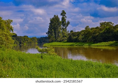 The rocky riverbed of the Paraíba do Sul River, with shallow, clear water flowing over smooth stones. Lush vegetation lines the riverbank, creating a tranquil natural scene. - Powered by Shutterstock