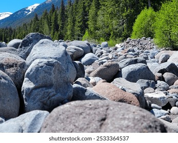 Rocky riverbed with large boulders surrounded by dense forest and snow-capped Mountain Rainer in Washington. - Powered by Shutterstock