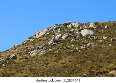 A Rocky Rolling Green Hill.