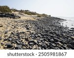 Rocky and sandy soil of the Atlantic coast with low-growing vegetation in October in Costa Calma, Fuerteventura, Canary Islands, Spain.