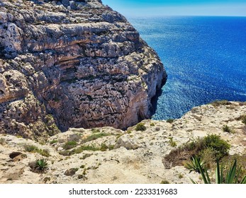 Rocky sea coast. A picture of mussels growing on the beach. Sharp gray rocks against the sea. Seascape - transparent, blue, turquoise sea against the background of mountains, stones, blue sky