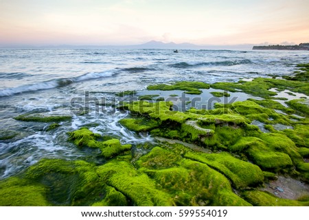 Rocky shore covered with green seaweed with the beautiful ocean in the early morning with views of the volcano and the mountains. Indonesia Bali