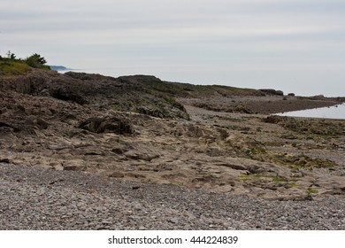 Rocky Shore Of The Minas Basin