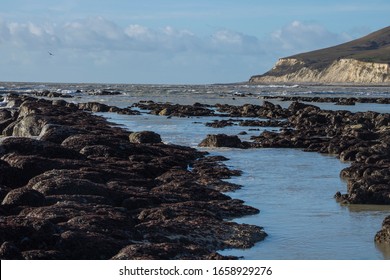 Rocky shore near Seven Sisters beach in England