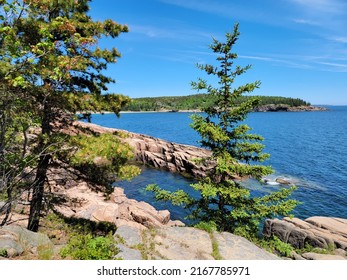 Rocky Shore On Coast In Maine With Plants And Trees And Water