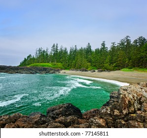 Rocky Shore Of  Pacific Rim National Park, Canada