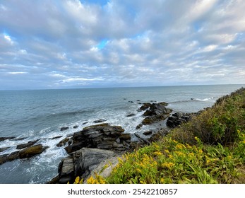 Rocky shore wildflowers ocean sky - Powered by Shutterstock