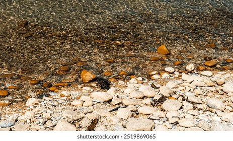 A rocky shoreline with a body of water in the background. The water is clear and the rocks are scattered throughout the area - Powered by Shutterstock