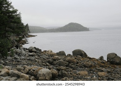 A rocky shoreline with large stones and scattered driftwood stretches along a calm, foggy bay. Evergreen trees line the coast, and mist-covered hills rise in the background, creating a serene scene. - Powered by Shutterstock