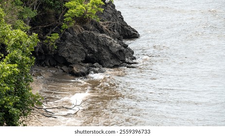 rocky shoreline with lush vegetation meets a calm sea with gentle waves. - Powered by Shutterstock