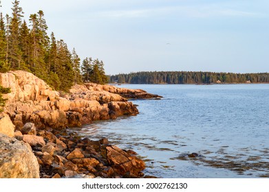 Rocky Shoreline With Pine Tress