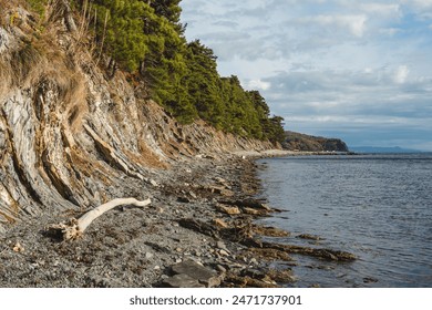 A rocky shoreline with a steep cliff covered in pine trees. Driftwood and pebbles are scattered along the beach, with calm sea waters and a partly cloudy sky in the background - Powered by Shutterstock